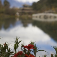 lijiang_mg_6253